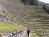 Short Inca Trail (26).jpg